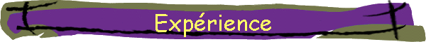 Exp�rience