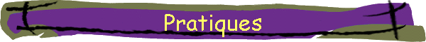Pratiques